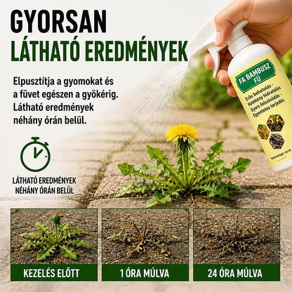 🌿 Gyors Hatású Gyom- és Fűirtó Spray – Egyszerű Kerti Megoldás