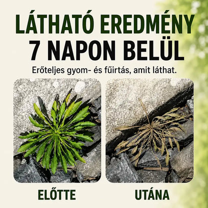 🌿 Gyors Hatású Gyom- és Fűirtó Spray – Egyszerű Kerti Megoldás