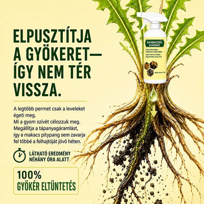 🌿 Gyors Hatású Gyom- és Fűirtó Spray – Egyszerű Kerti Megoldás